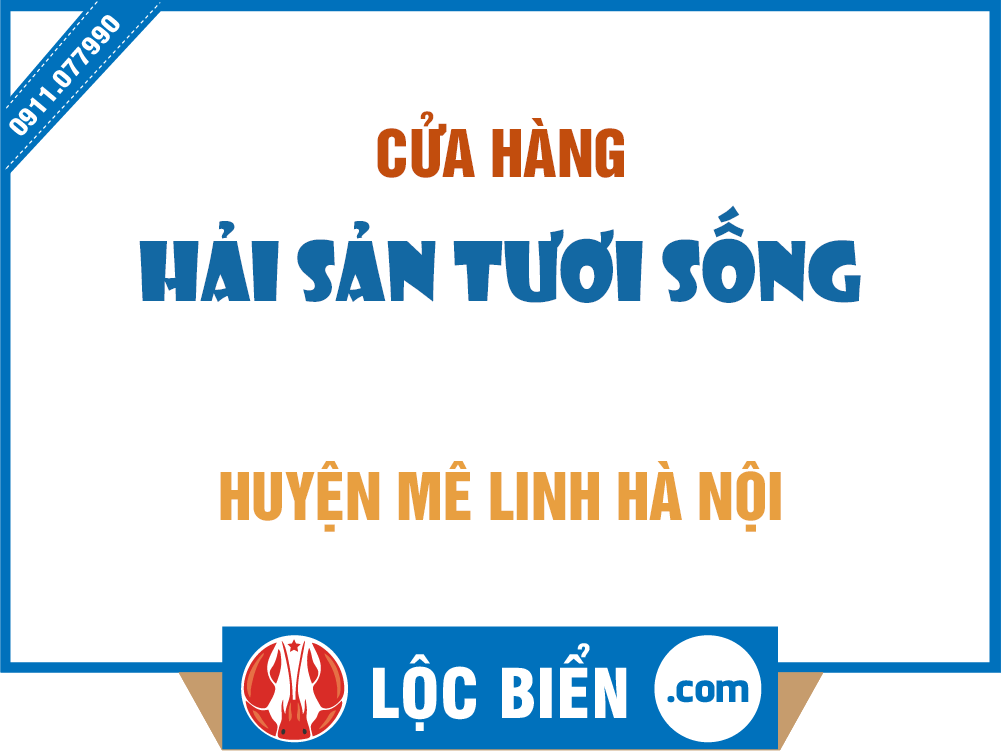 hai san huyen me linh ha noi