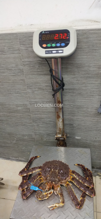 Cua alaska đỏ ngộp 2,72kg