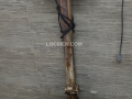 Cua alaska đỏ ngộp 2,76kg