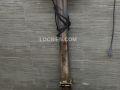 Cua alaska đỏ ngộp 3,66kg
